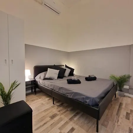 Casa Setter *