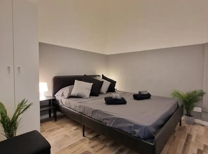 Casa Setter *
